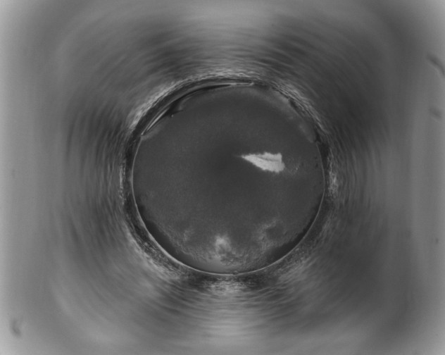 X0000100390444200806130955