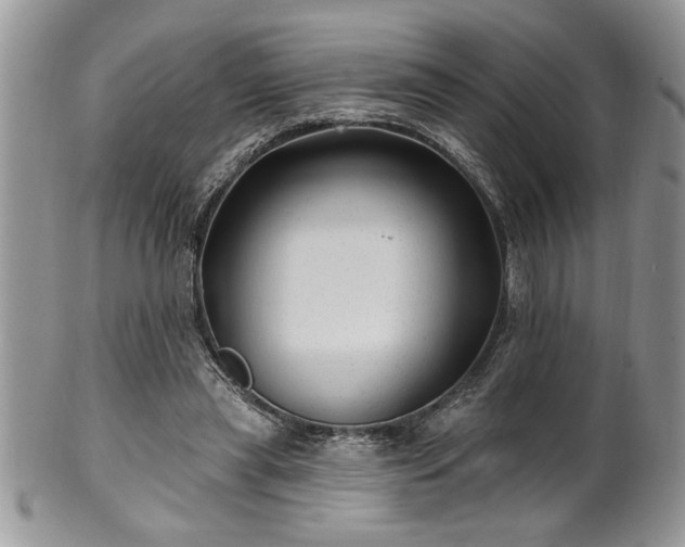 X0000100390445200806130955