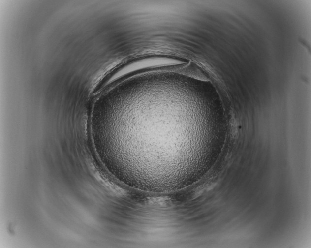 X0000100390446200806130955