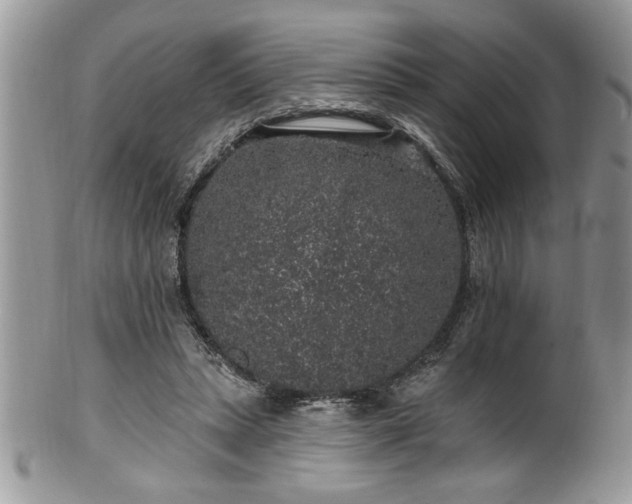 X0000100390447200806130955