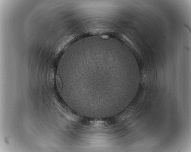 X0000100390448200806130955