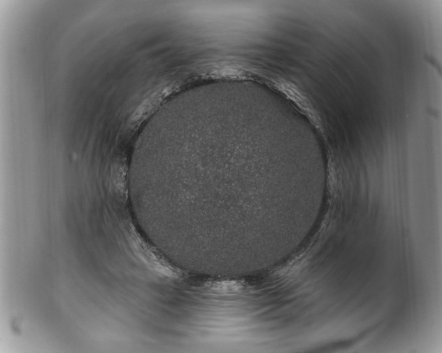 X0000100390449200806130955