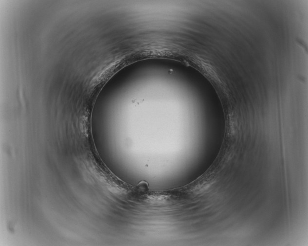 X0000100390450200806130955