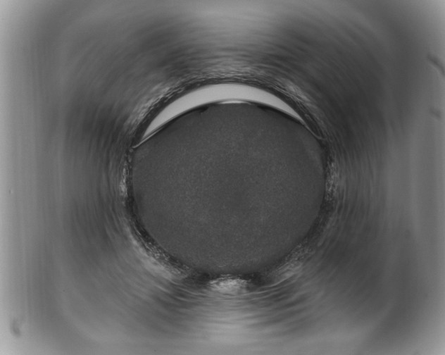 X0000100390452200806130955