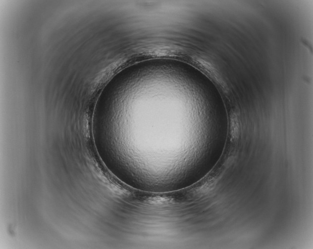 X0000100390453200806130955