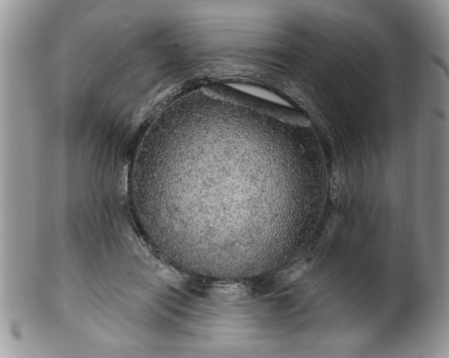 X0000100390454200806130955