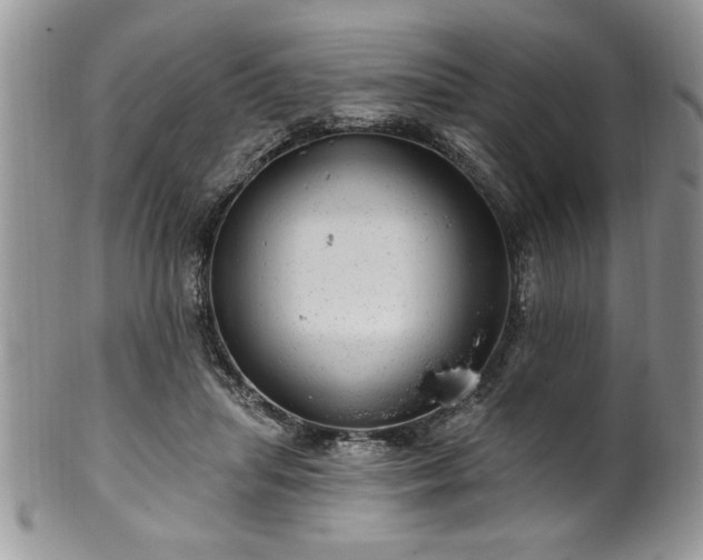 X0000100390455200806130955