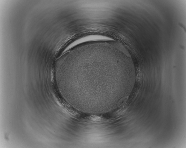 X0000100390456200806130955