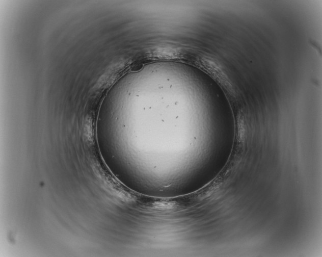 X0000100390457200806130955