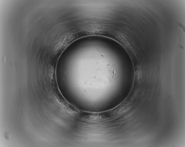 X0000100390458200806130955