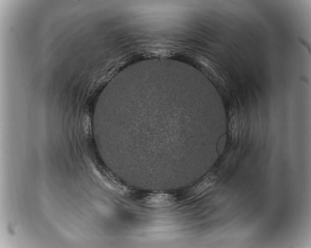 X0000100390459200806130955