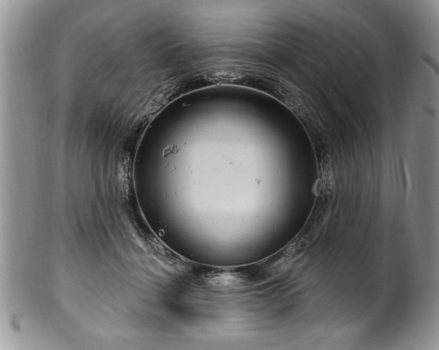 X0000100390460200806130956