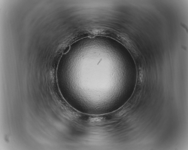 X0000100390461200806130956