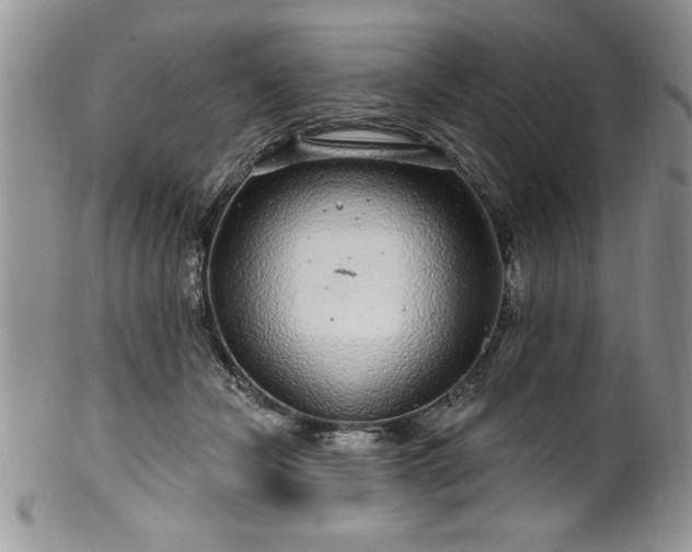 X0000100390462200806130956