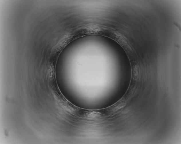 X0000100390463200806130956