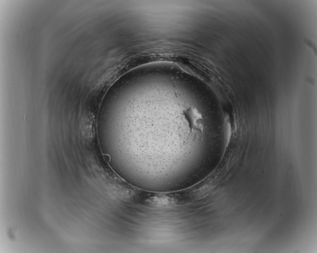 X0000100390464200806130956