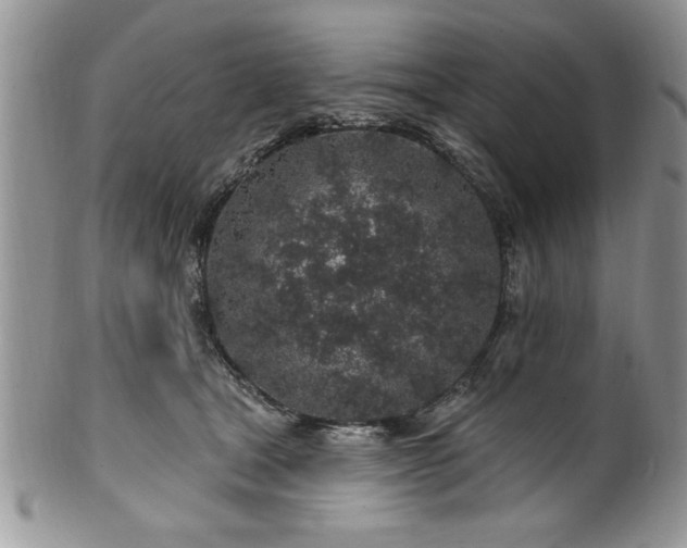 X0000100390465200806130956