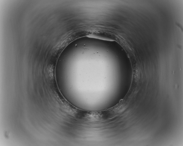 X0000100390466200806130956