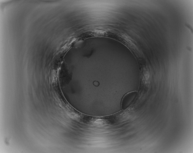 X0000100390467200806130956