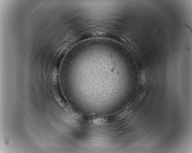 X0000100390468200806130956