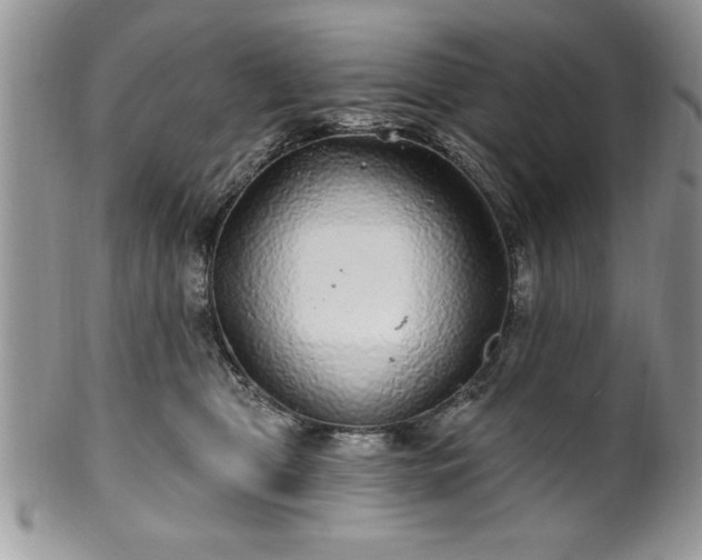 X0000100390469200806130956