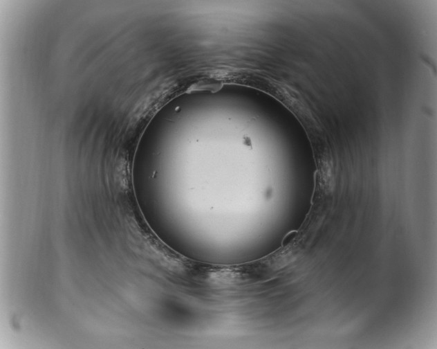 X0000100390470200806130956