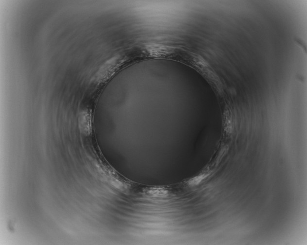 X0000100390471200806130956