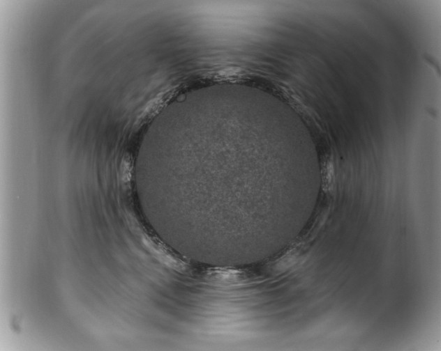 X0000100390472200806130956