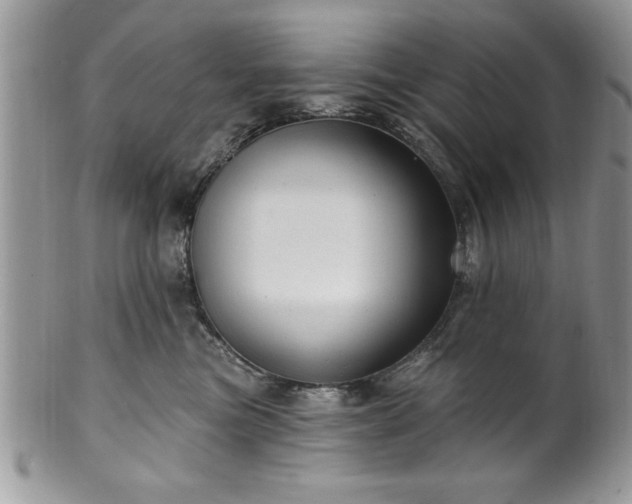 X0000100390473200806130956