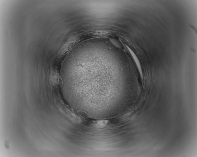 X0000100390474200806130956