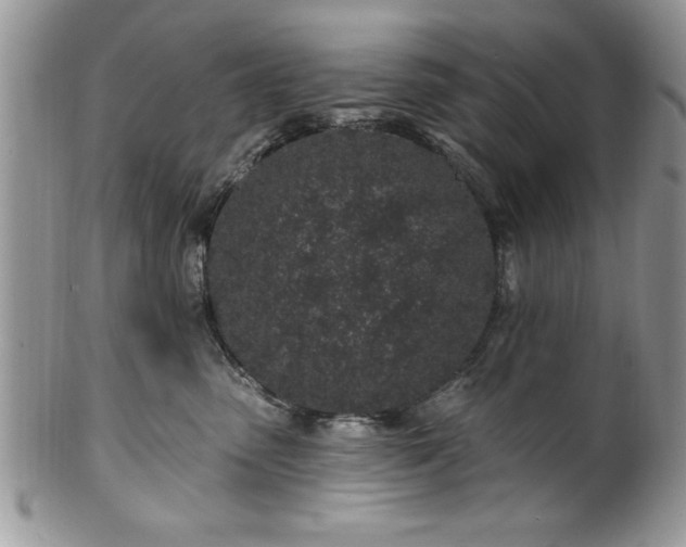 X0000100390475200806130956