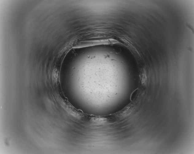 X0000100390476200806130956