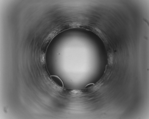 X0000100390477200806130956