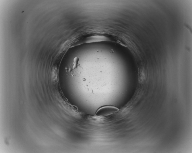 X0000100390478200806130956