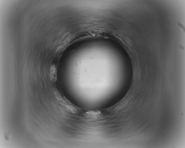 X0000100390480200806130956