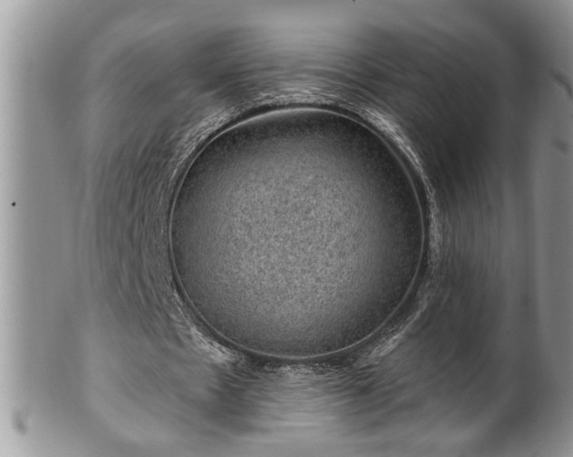 X0000100390481200806130955