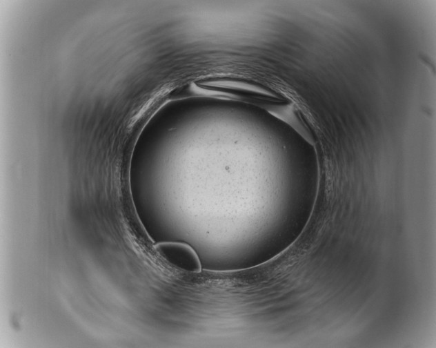 X0000100390482200806130955