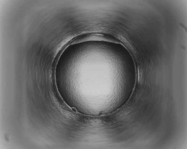 X0000100390483200806130955