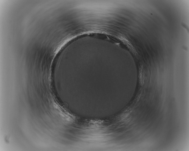 X0000100390484200806130955