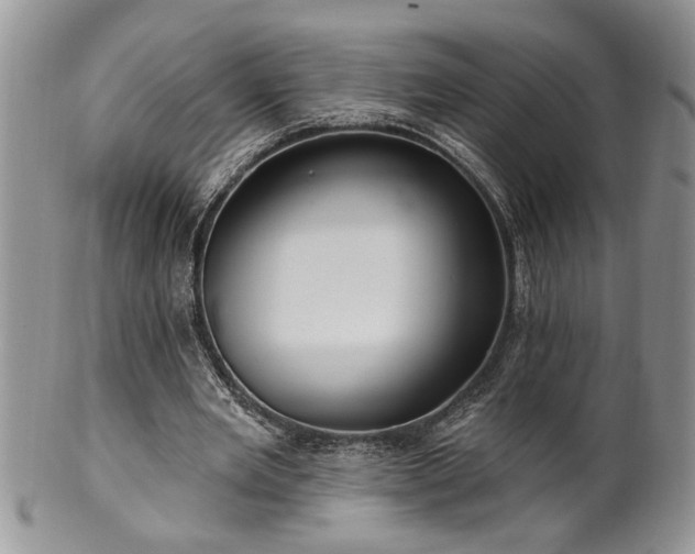 X0000100390485200806130955