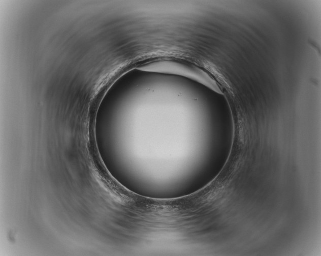 X0000100390486200806130955