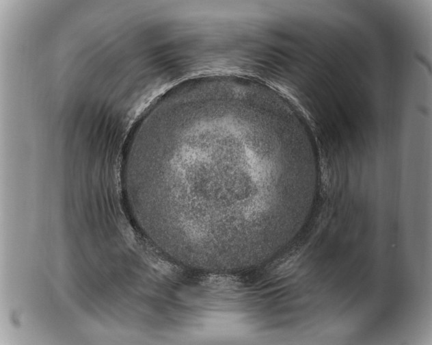 X0000100390487200806130955