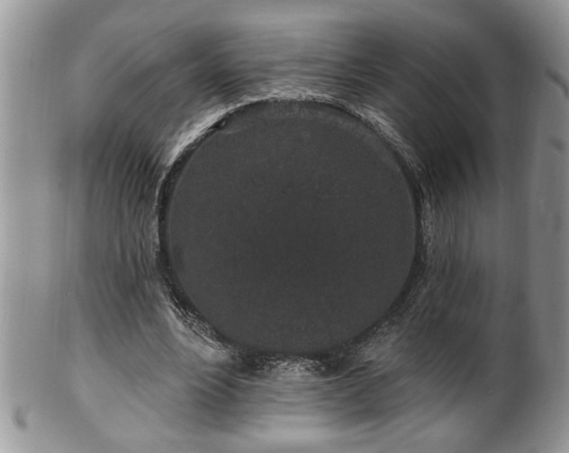 X0000100390488200806130955