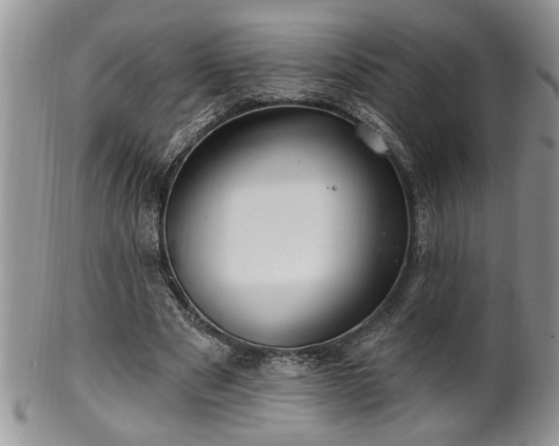 X0000100390489200806130955