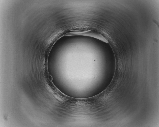 X0000100390490200806130955