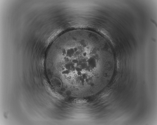 X0000100390491200806130955