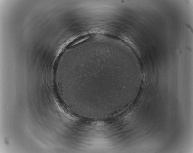 X0000100390492200806130955