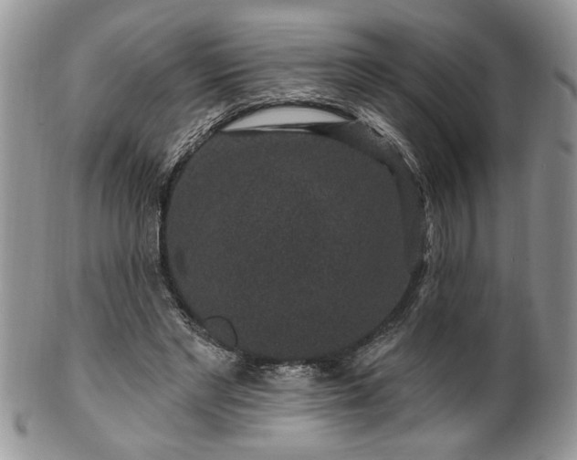 X0000100390493200806130955