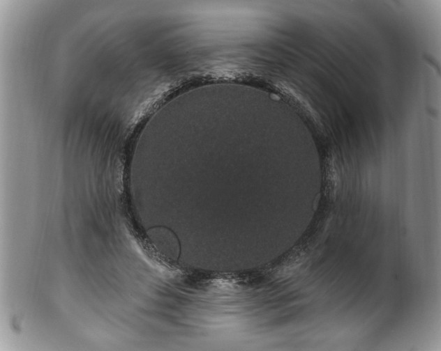 X0000100390496200806130955