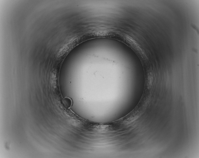 X0000100390497200806130955